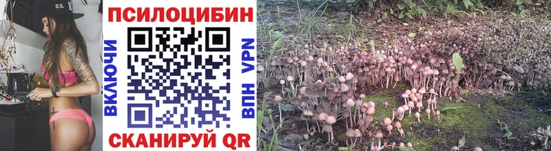 Псилоцибиновые грибы GOLDEN TEACHER  Купить где  Усмань 