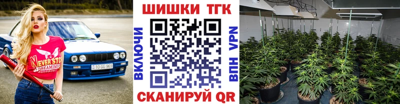 Канабис THC 21%  Купить закладки  Усмань 